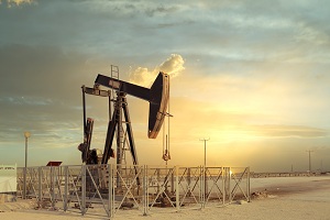 Working Interest In Oil & Gas
